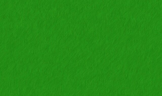 green, ecology, echo, environmentally sustainable, sustainability, grass, lawn, blades of grass, texture, nature, echo, sustainability, sustainability, sustainability, sustainability, sustainability, grass