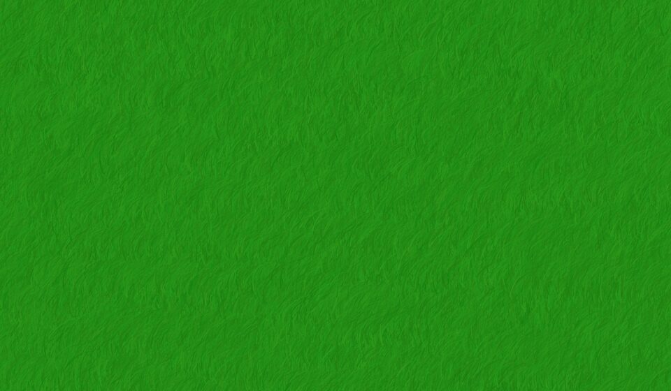 green, ecology, echo, environmentally sustainable, sustainability, grass, lawn, blades of grass, texture, nature, echo, sustainability, sustainability, sustainability, sustainability, sustainability, grass