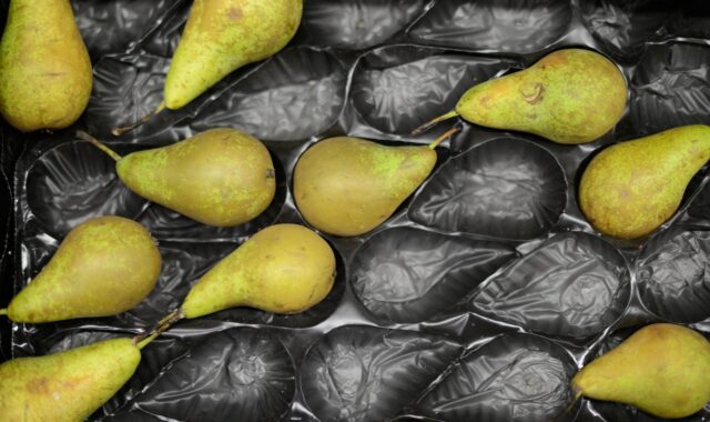 pears, display, packaging, collection, package, spaces, pattern, gray pattern