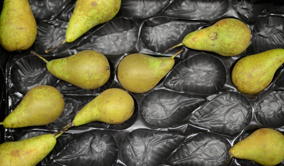pears, display, packaging, collection, package, spaces, pattern, gray pattern