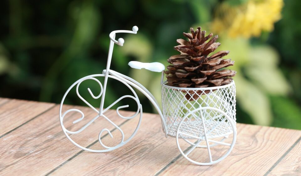 bike-friendly, two pine, pine cones with the bike, property bike, pine cones and bicycles, bicycles, two pine cones, product packaging