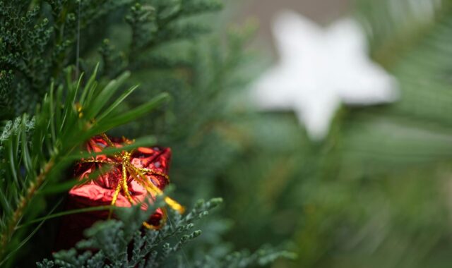 gift, cool backgrounds, 4k wallpaper 1920x1080, laptop wallpaper, full hd wallpaper, free background, christmas tree, windows wallpaper, 4k wallpaper, wallpaper 4k, christmas, hd wallpaper, decoration, free wallpaper, desktop backgrounds, mac wallpaper, advent, wallpaper hd, christmas decorations, beautiful wallpaper, background