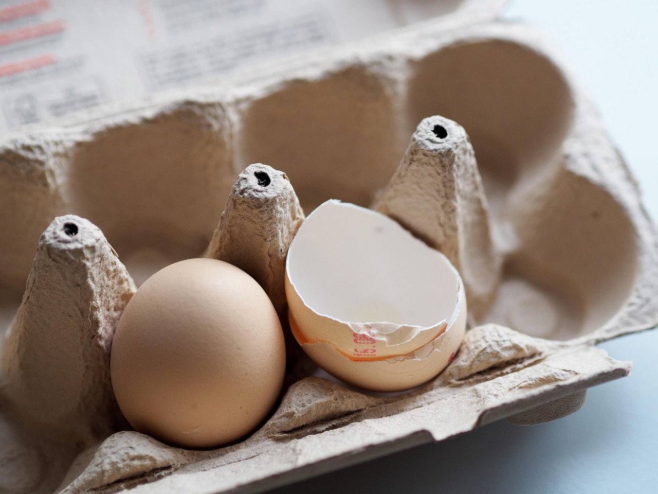eggs, eggshell, pack, carton, to bake, prepare, bio, food, egg carton, egg box, hen's egg, egg packaging, meal, natural product, packaging, egg carton, egg carton, egg carton, egg carton, egg carton, egg box, egg box