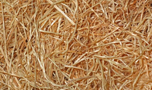 wood wool, laptop wallpaper, wood, free background, desktop backgrounds, beautiful wallpaper, close to nature, filling, 4k wallpaper 1920x1080, padding, natural materials, packing material, full hd wallpaper, background, nature, naturally, mac wallpaper, packaging, free wallpaper, windows wallpaper, hd wallpaper, wallpaper hd, packing aid, wallpaper 4k, cool backgrounds, 4k wallpaper, template