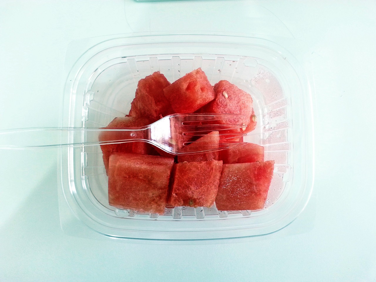 watermelon, melon, citrullus lanatus, fruit, slices, snack, food, eat, fresh, cut, diced, ripe, refreshment, nutrition, vegetarian, dessert, fruits, plastic, fork, container, watermelon, watermelon, watermelon, watermelon, watermelon, plastic