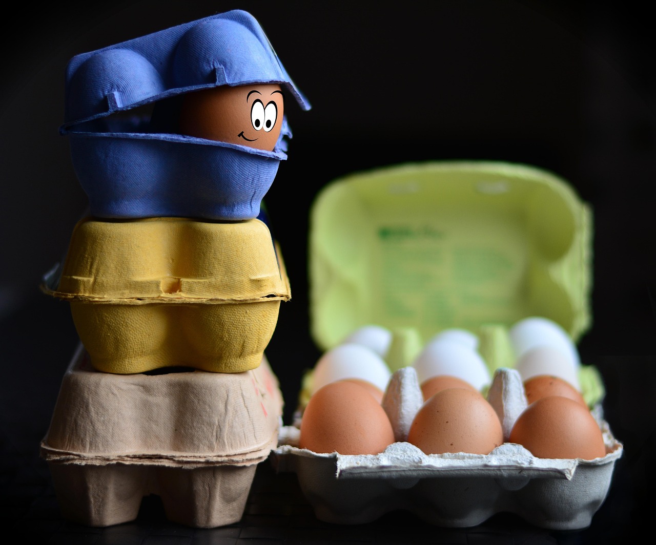 egg cartons, eggs, egg box, egg packaging, bio, organic eggs, nourishment, pack, natural product, hen's egg, food