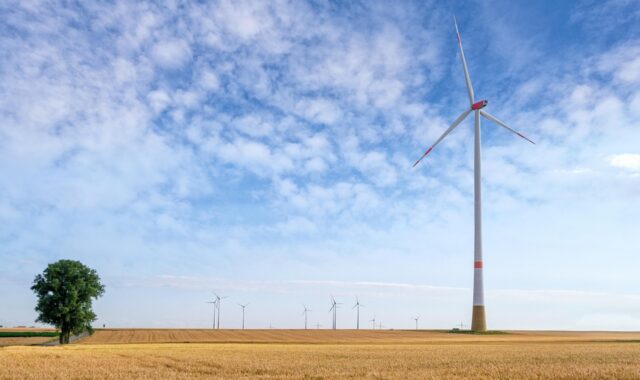 windmill, wind energy, wind power, ecologically, energy, fields, wheat, environment, environmentally friendly