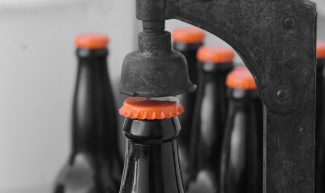 entrepreneur, beer, top, entrepreneur, beer, beer, beer, beer, beer