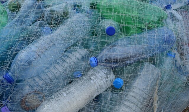 fishing net, nature, plastic bottles, rubbish, netting, bottles, beach, cleanup, garbage, recycling, single-use plastic, earth day