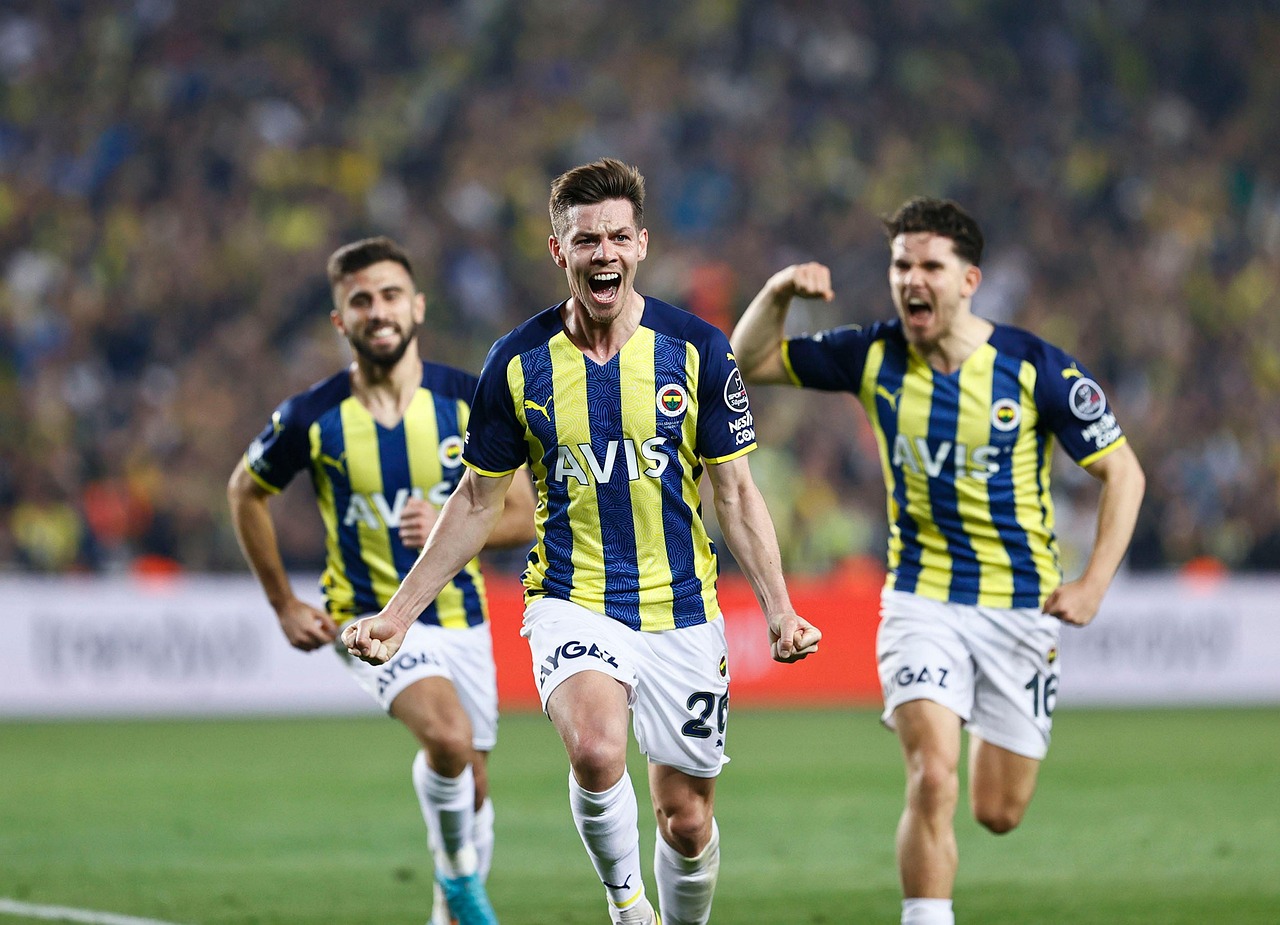 sport, players, athlete, fenerbahce, number 12, football, fenerbahce, fenerbahce, fenerbahce, fenerbahce, fenerbahce