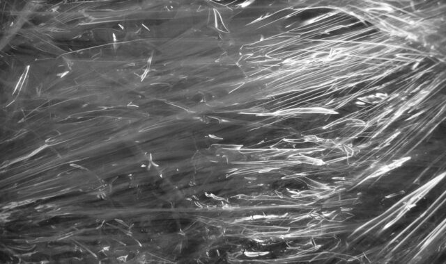 foil, packed up, free wallpaper, hd wallpaper, wrapped up, transparent, laptop wallpaper, 4k wallpaper 1920x1080, desktop backgrounds, structure, plastic, background, to ship, windows wallpaper, texture, catchment, full hd wallpaper, cool backgrounds, 4k wallpaper, abstract, move, wallpaper 4k, mac wallpaper, beautiful wallpaper, free background, wrap up, wallpaper hd, wrap, scrapbook, scrap