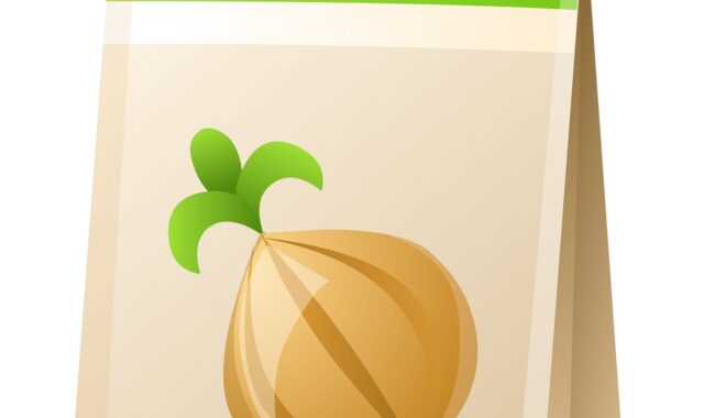seed packet, onion, gardening, packaging, symbol, agriculture, vegetable, eco-friendly, agricultural product, ornamental, agricultural, illustrative, organic, fresh design