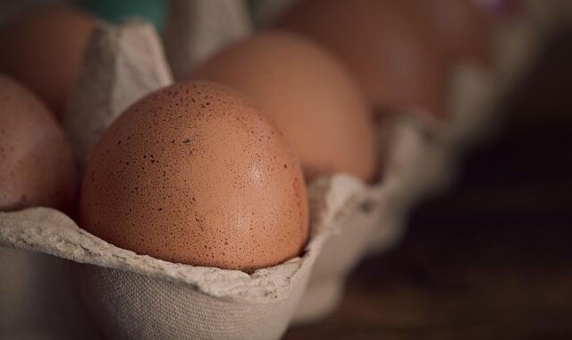 eggs, chicken eggs, brown eggs, raw, raw eggs, food, nourishment, egg carton, egg shells, egg packaging, brown, close up