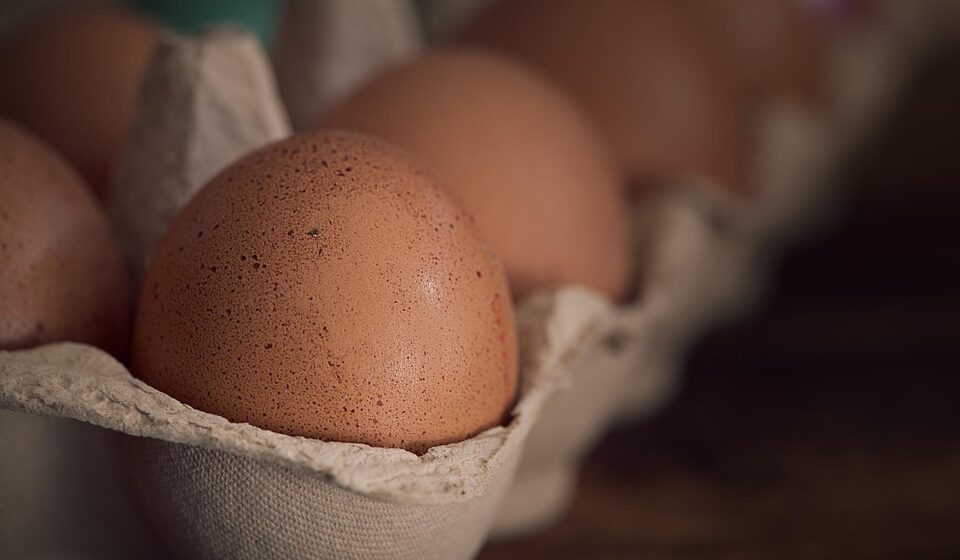 eggs, chicken eggs, brown eggs, raw, raw eggs, food, nourishment, egg carton, egg shells, egg packaging, brown, close up