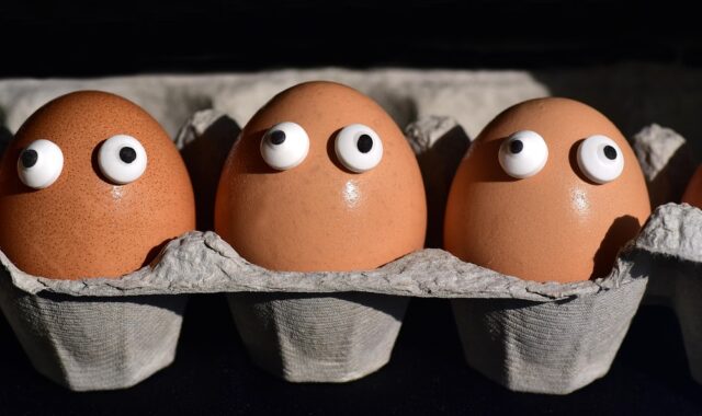 eggs, egg box, egg carton, eggs heads, fun, sweat, company, eyes, curious, food, egg packaging, pack, natural product, hen's egg, carton, easter, brown, ornament, egg shells, decoration
