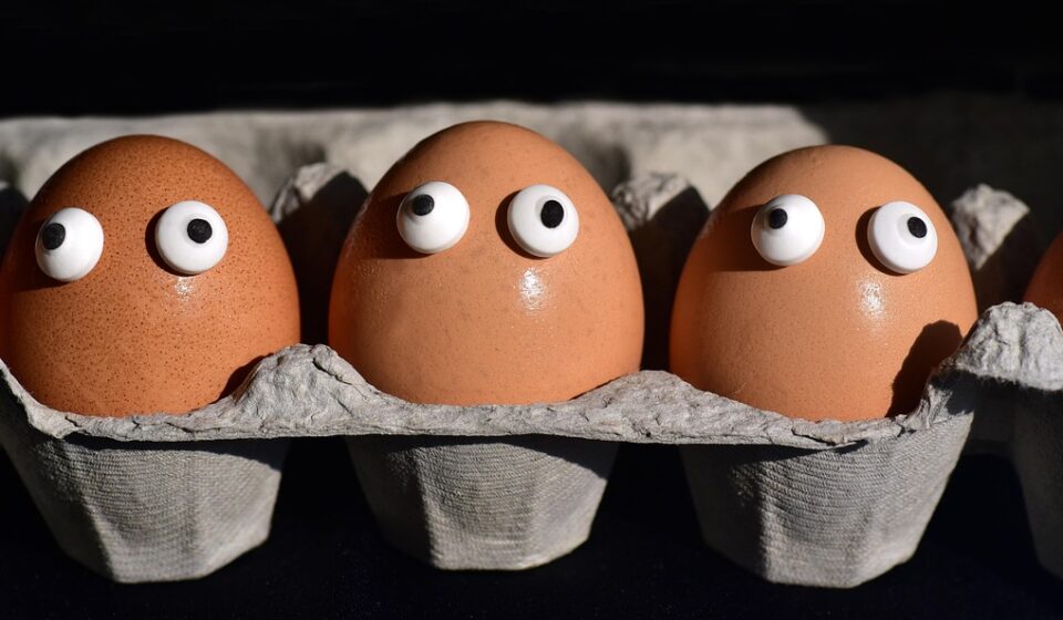 eggs, egg box, egg carton, eggs heads, fun, sweat, company, eyes, curious, food, egg packaging, pack, natural product, hen's egg, carton, easter, brown, ornament, egg shells, decoration