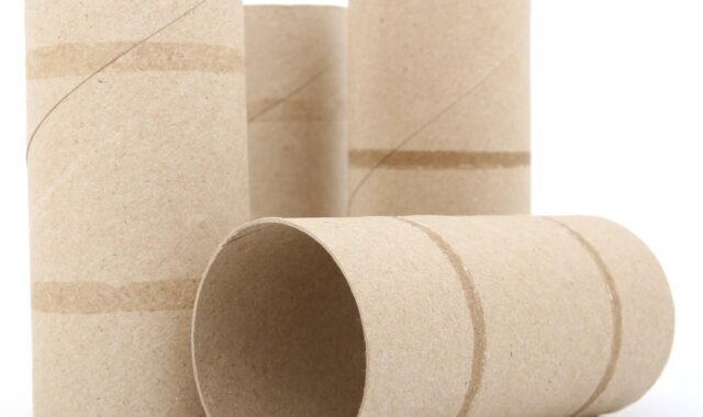 roll, sanitary, tissue, toiletries, empty, toilet roll, cardboard, lines, empty toiletries, toilet paper roll, brown paper, brown toilet, toilet roll, toilet roll, cardboard, cardboard, cardboard, cardboard, cardboard