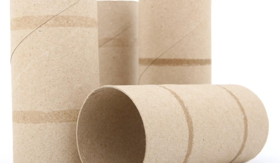 roll, sanitary, tissue, toiletries, empty, toilet roll, cardboard, lines, empty toiletries, toilet paper roll, brown paper, brown toilet, toilet roll, toilet roll, cardboard, cardboard, cardboard, cardboard, cardboard