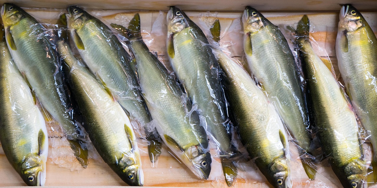 fish, fishmonger, fresh, food, market, seafood, nature, sea, raw, catch