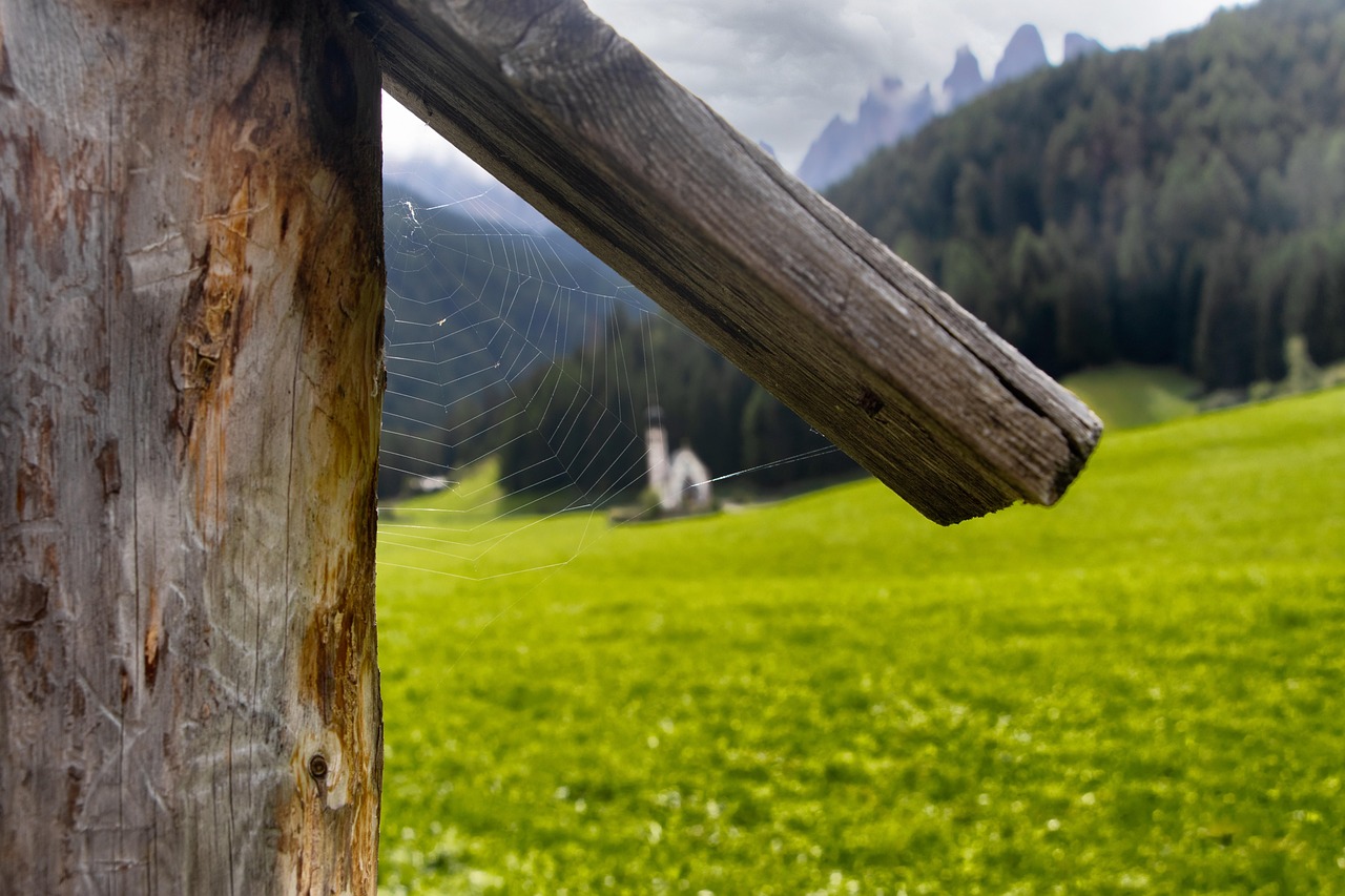 web, church, alps, dolomites, italy, rustic, meadow, sustainability