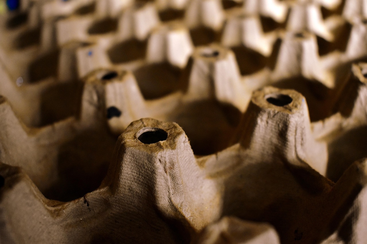 egg carton, cardboard, packaging, egg tray, egg box, closeup