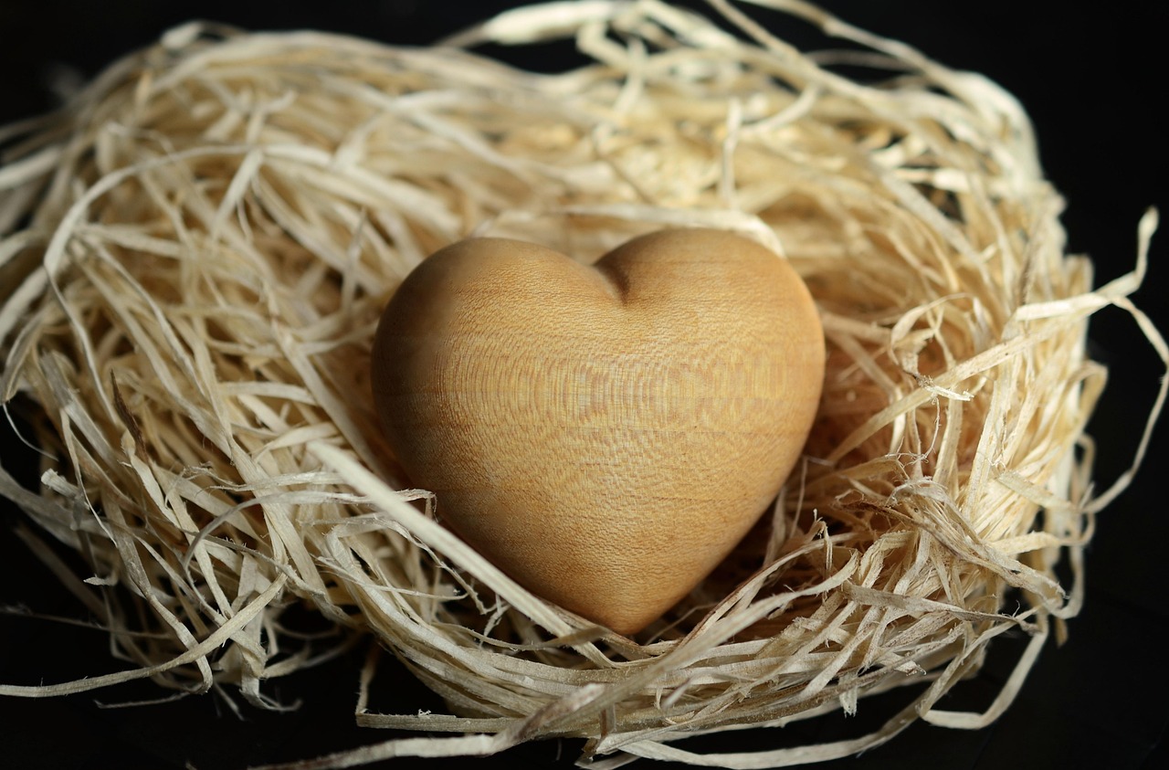 wood wool, wood, natural materials, light brown, naturally, packing aid, filling, wooden heart, heart, wood wool, wooden heart, wooden heart, wooden heart, heart, heart, heart, heart, heart